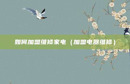 如何加盟维修家电（加盟电器维修）