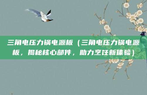 三角电压力锅电源板（三角电压力锅电源板，揭秘核心部件，助力烹饪新体验）