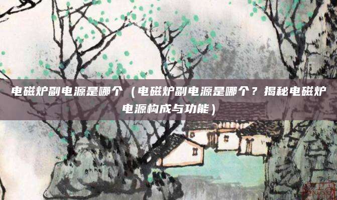 电磁炉副电源是哪个（电磁炉副电源是哪个？揭秘电磁炉电源构成与功能）