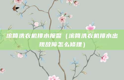 滚筒洗衣机排水报警（滚筒洗衣机排水出现故障怎么修理）
