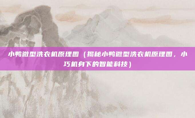 小鸭微型洗衣机原理图（揭秘小鸭微型洗衣机原理图，小巧机身下的智能科技）