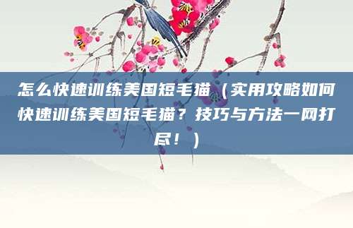怎么快速训练美国短毛猫（实用攻略如何快速训练美国短毛猫？技巧与方法一网打尽！）