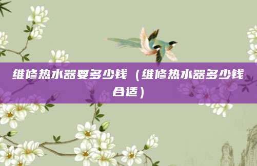 维修热水器要多少钱（维修热水器多少钱合适）