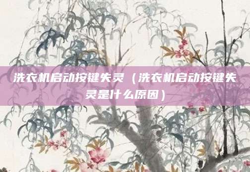 洗衣机启动按键失灵（洗衣机启动按键失灵是什么原因）