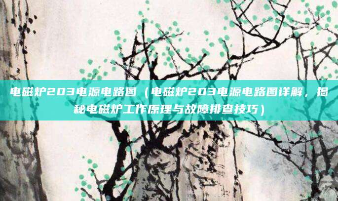 电磁炉203电源电路图（电磁炉203电源电路图详解，揭秘电磁炉工作原理与故障排查技巧）
