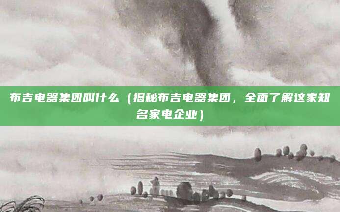 布吉电器集团叫什么（揭秘布吉电器集团，全面了解这家知名家电企业）