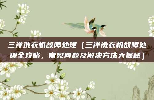三洋洗衣机故障处理（三洋洗衣机故障处理全攻略，常见问题及解决方法大揭秘）