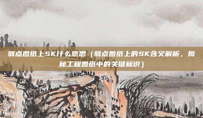 弱点图纸上SK什么意思（弱点图纸上的SK含义解析，揭秘工程图纸中的关键标识）