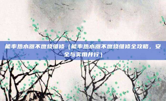 能率热水器不燃烧维修（能率热水器不燃烧维修全攻略，安全与实用并行）