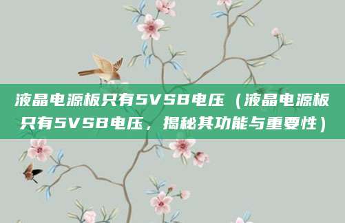 液晶电源板只有5VSB电压（液晶电源板只有5VSB电压，揭秘其功能与重要性）