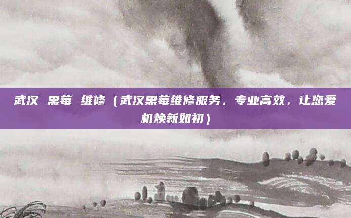 武汉 黑莓 维修（武汉黑莓维修服务，专业高效，让您爱机焕新如初）