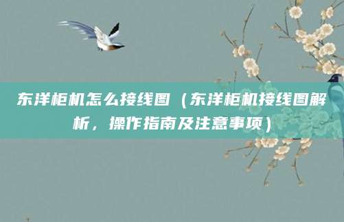 东洋柜机怎么接线图（东洋柜机接线图解析，操作指南及注意事项）