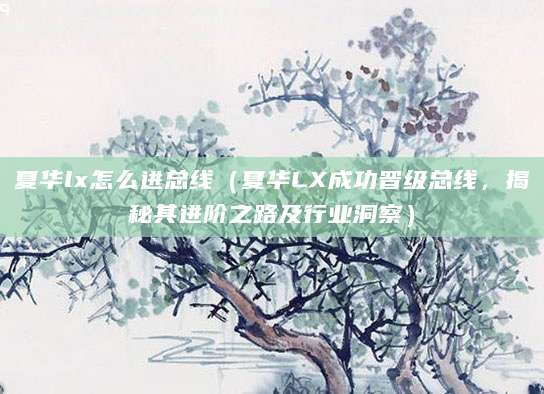 夏华lx怎么进总线（夏华LX成功晋级总线，揭秘其进阶之路及行业洞察）