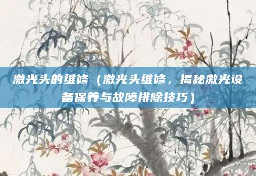 激光头的维修（激光头维修，揭秘激光设备保养与故障排除技巧）