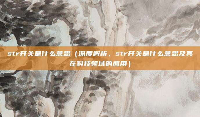 str开关是什么意思（深度解析，str开关是什么意思及其在科技领域的应用）