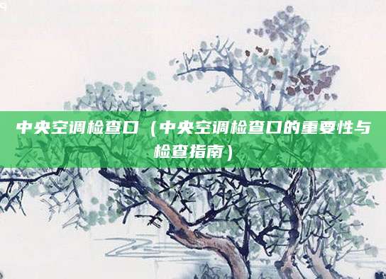 中央空调检查口（中央空调检查口的重要性与检查指南）