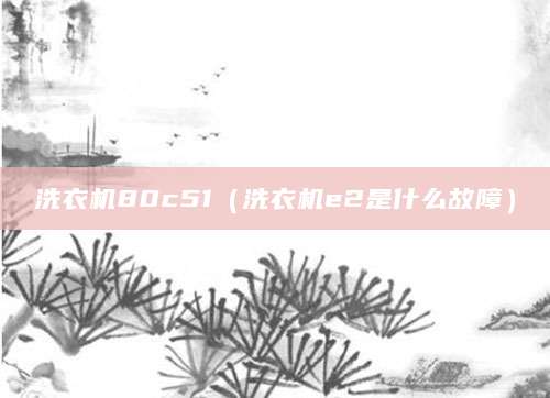 洗衣机80c51(洗衣机e2是什么故障)