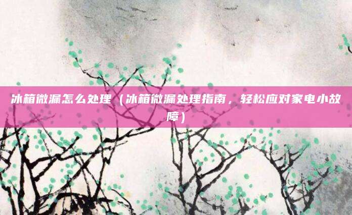 冰箱微漏怎么处理（冰箱微漏处理指南，轻松应对家电小故障）