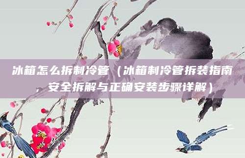 冰箱怎么拆制冷管（冰箱制冷管拆装指南，安全拆解与正确安装步骤详解）