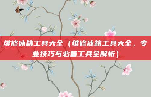 维修冰箱工具大全（维修冰箱工具大全，专业技巧与必备工具全解析）