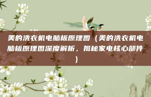 美的洗衣机电脑板原理图（美的洗衣机电脑板原理图深度解析，揭秘家电核心部件）