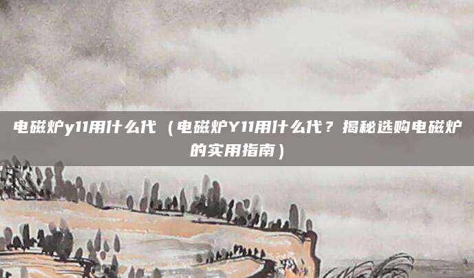 电磁炉y11用什么代（电磁炉Y11用什么代？揭秘选购电磁炉的实用指南）