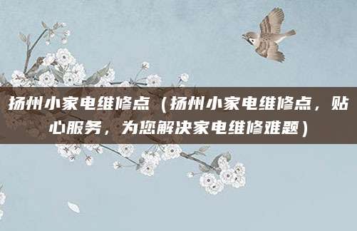 扬州小家电维修点（扬州小家电维修点，贴心服务，为您解决家电维修难题）