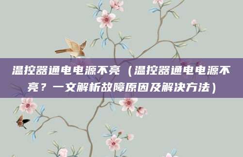 温控器通电电源不亮（温控器通电电源不亮？一文解析故障原因及解决方法）