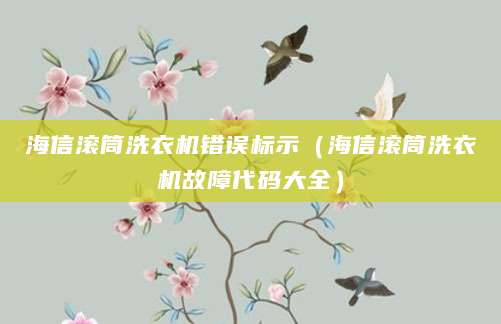 海信滚筒洗衣机错误标示（海信滚筒洗衣机故障代码大全）