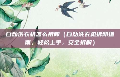 自动洗衣机怎么拆卸(自动洗衣机拆卸指南,轻松上手,安全拆解)