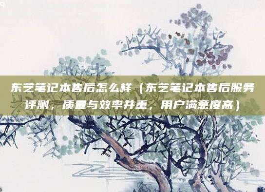 东芝笔记本售后怎么样(东芝笔记本售后服务评测,质量与效率并重,用户满意度高)