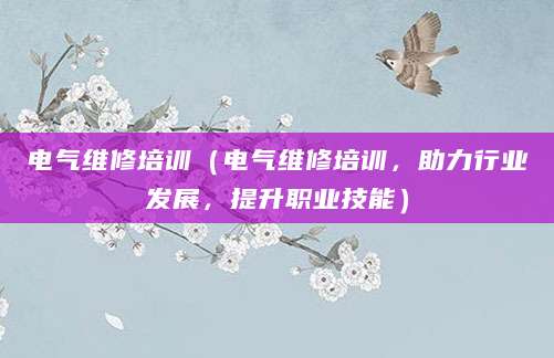 电气维修培训(电气维修培训,助力行业发展,提升职业技能)