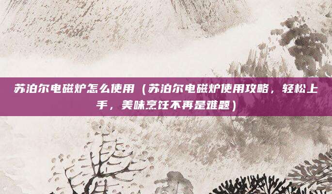 苏泊尔电磁炉怎么使用（苏泊尔电磁炉使用攻略，轻松上手，美味烹饪不再是难题）