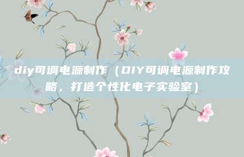 diy可调电源制作（DIY可调电源制作攻略，打造个性化电子实验室）