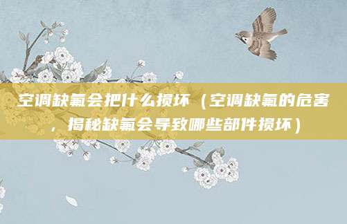 空调缺氟会把什么损坏（空调缺氟的危害，揭秘缺氟会导致哪些部件损坏）