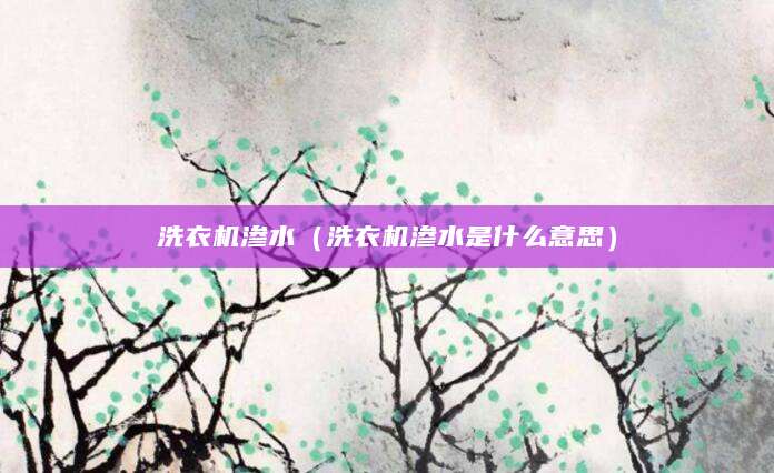 洗衣机渗水（洗衣机渗水是什么意思）