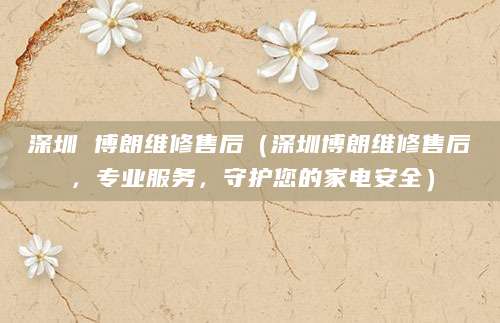 深圳 博朗维修售后（深圳博朗维修售后，专业服务，守护您的家电安全）