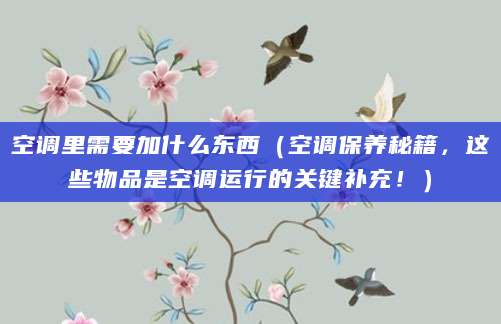 空调里需要加什么东西(空调保养秘籍,这些物品是空调运行的关键补充!)