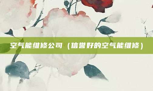 空气能维修公司（信誉好的空气能维修）