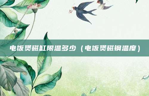 电饭煲磁缸限温多少（电饭煲磁钢温度）