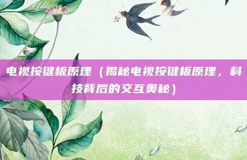 电视按键板原理(揭秘电视按键板原理,科技背后的交互奥秘)