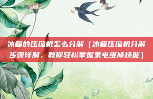 冰箱的压缩机怎么分解（冰箱压缩机分解步骤详解，教你轻松掌握家电维修技能）