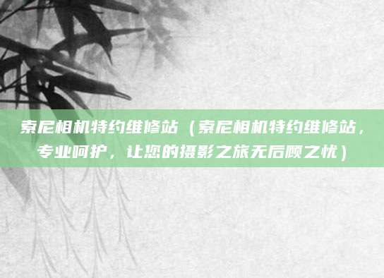 索尼相机特约维修站(索尼相机特约维修站,专业呵护,让您的摄影之旅无后顾之忧)