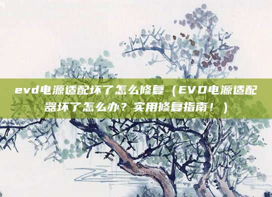 evd电源适配坏了怎么修复(EVD电源适配器坏了怎么办?实用修复指南!)