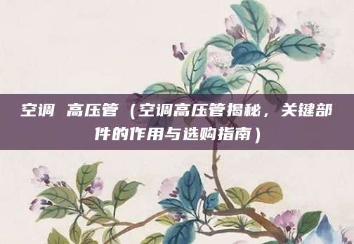 空调 高压管（空调高压管揭秘，关键部件的作用与选购指南）
