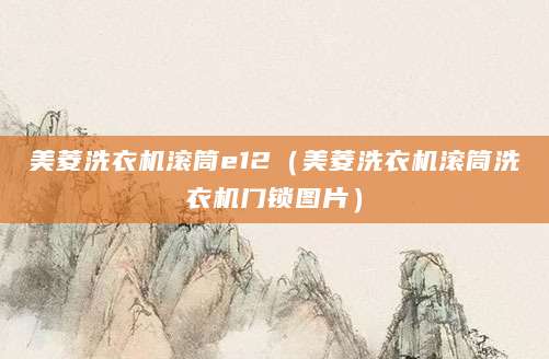 美菱洗衣机滚筒e12（美菱洗衣机滚筒洗衣机门锁图片）
