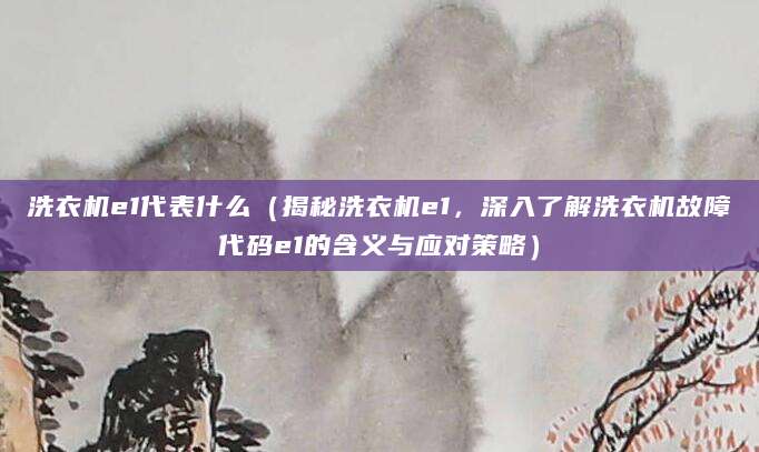 洗衣机e1代表什么（揭秘洗衣机e1，深入了解洗衣机故障代码e1的含义与应对策略）