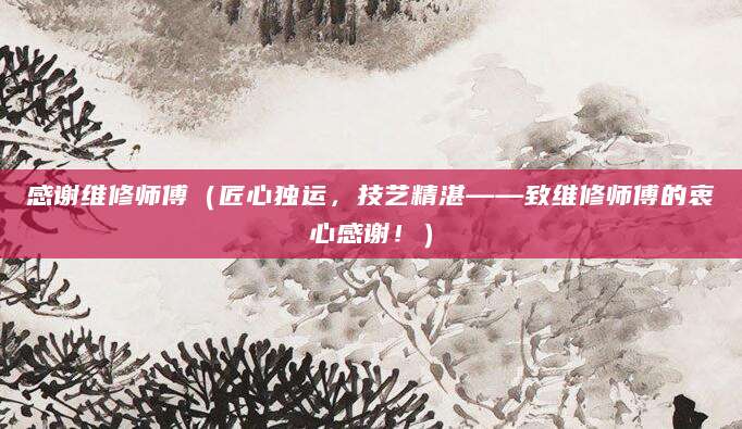 感谢维修师傅(匠心独运,技艺精湛——致维修师傅的衷心感谢!)
