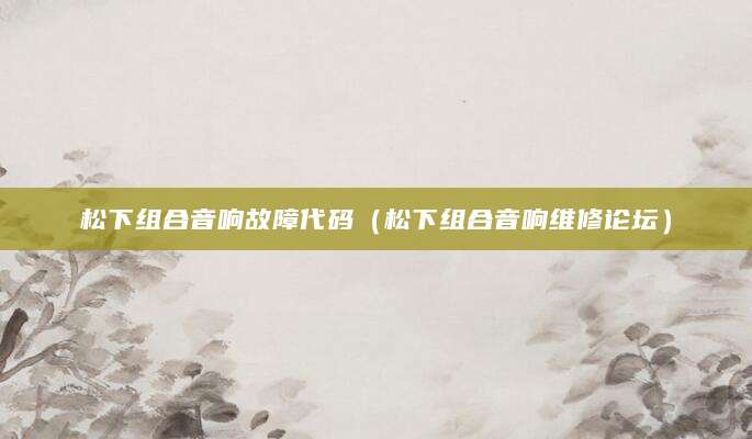 松下组合音响故障代码（松下组合音响维修论坛）