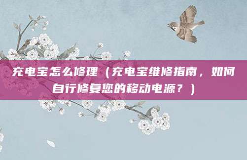 充电宝怎么修理（充电宝维修指南，如何自行修复您的移动电源？）